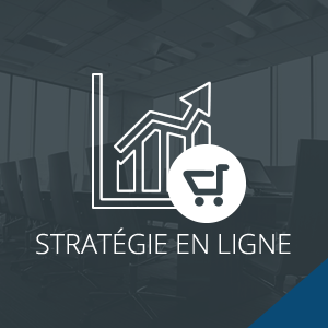 webinar-estregie