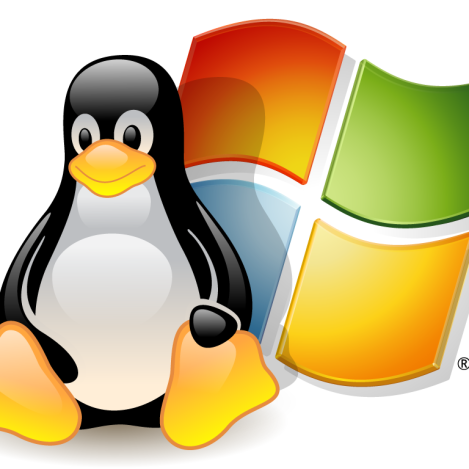 hébergement linux ou windows