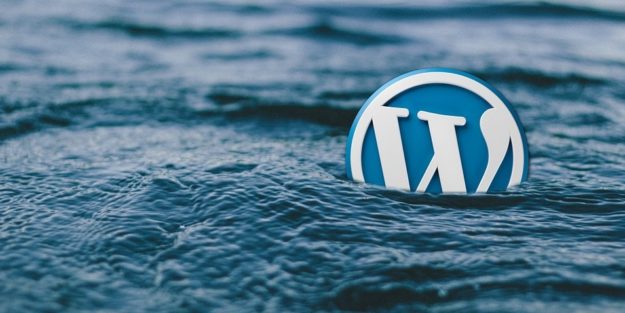 theme wordpress